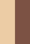 orange gold / copper