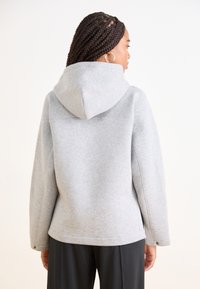 The North Face RELAXED HOODIE - Mikina - metallic silver heather