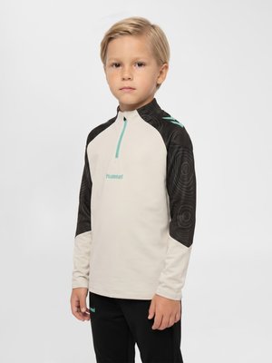 Hummel, 2.0 TRAINING HALF ZIP - Camiseta de manga larga - vaporous gray pool blue