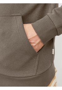 Jack & Jones JJEBRADLEY ZIP HOOD - Majica s kapuljačom i patentnim zatvaračem - bungee cord