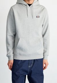 Felpa con cappuccio grigia realizzata in misto cotone, con tasca frontale e polsini a coste. Un piccolo logo del marchio è visibile sul petto.