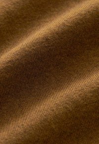 Next SHORT SLEEVE - REGULAR FIT - Poloshirts - brown