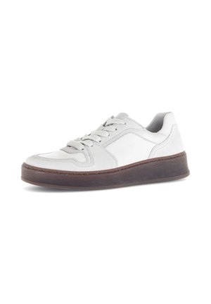 SNEAKER LOW - Sneakers laag - offwhite/ltgrey