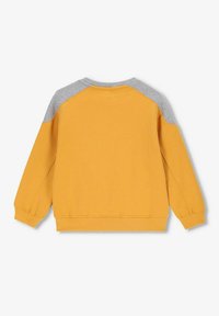 Sweatshirt jaune à manches raglan grises, avec des poignets et un ourlet côtelés. Fabriqué en tissu doux, il présente un design simple et uni.