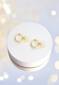 Guldringörhängen med ett hjärtanhänge prytt med små, klara stenar, visade på en rund, vit och guldkantad smyckesask.