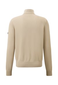 Beige knit sweater, featuring a high collar, long sleeves, ribbed cuffs and hem, and a subtle sheen. Back view shows seamless design.