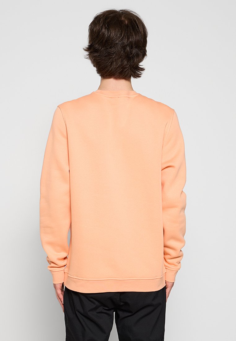 Sweatshirt à col rond pêche, en mélange de coton, manches longues, bords côtelés aux poignets et à l'ourlet, texture lisse, design uni, vue arrière présentée.