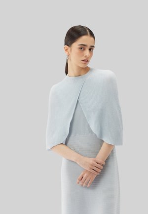 Junge Frau mit zurückgebundenem dunklem Haar trägt ein hellblaues, geripptes Strickkleid und einen passenden Umhang vor einem schlichten hellgrauen Hintergrund.