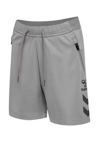 Grijze sportbroek met ritszakken aan de voorkant, een taille met trekkoord, en een zwarte chevron en logo op het rechterbeen.