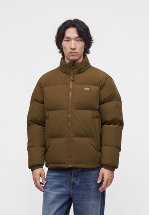 Homme portant une doudoune marron avec fermeture éclair à l’avant et logo crocodile vert, associée à un jean bleu, debout devant un fond blanc uni.