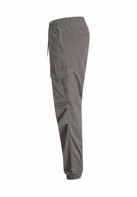 Jack & Jones JPSTKANE JJNOAH  szary
