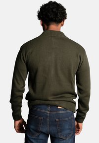 Olive green knitted sweater with a high collar, ribbed cuffs, and hem. Worn with dark denim jeans, showing a casual, textured design.