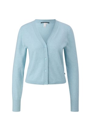 Cardigan azzurro chiaro in morbido materiale, con scollo a V, chiusura a bottoni, polsini a costine e design corto.