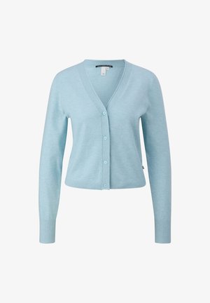 Cardigan azzurro chiaro in morbido materiale, con scollo a V, chiusura a bottoni, polsini a costine e design corto.