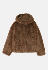 BLOUSON JACKET - Talvejope - otter