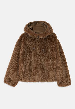 BLOUSON JACKET - Winterjacke - otter