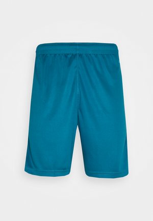 Teal atletik shorts med en elastisk linning, glat tekstur og lige ben design. Ingen synlige mønstre eller accenter.