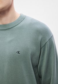 Πράσινο βαμβακερό πουλόβερ με ριμπ πλεκτή στρογγυλή λαιμόκοψη και μικρό μαύρο λογότυπο "CK" στο στήθος. Το ύφασμα φαίνεται μαλακό και με υφή.