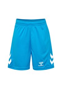 Pantalones cortos deportivos azules con una cintura elástica. Presentan acentos en forma de chevron blancos en los lados y un logo en la parte inferior frontal. Fabricados con material sintético.