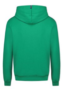 Felpa con cappuccio di un luminoso verde, realizzata in tessuto morbido. Presenta maniche lunghe, una tasca frontale e orli e polsini a coste. Viene mostrata la vista posteriore.