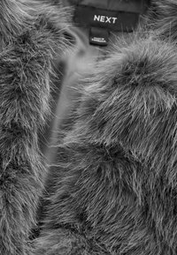 Grey faux fur coat featuring a soft, textured exterior with long fibers. Lined with smooth fabric, displaying a tag labeled "NEXT."