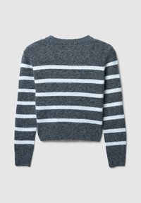 Pull rayé gris avec des rayures blanches horizontales, fabriqué en tissu doux. Possède un col rond et des poignets et un ourlet côtelés. Vue arrière montrée.