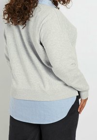 Ljusgrå sweatshirt med långa ärmar, som har en rund halsringning och ribbad nederkant. Under den finns en blå och vit randig skjorta.