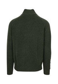 Dunkelgrüner Wollpullover mit hohem Rippkragen, langen Ärmeln sowie gerippten Bündchen und Saum, von hinten gezeigt.