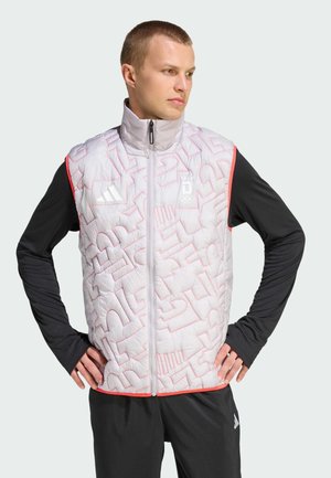 TEAM D PRIMALOFT - Weste - glory grey