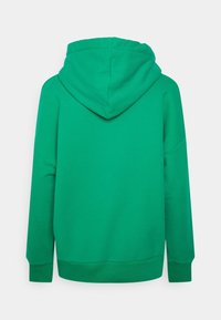 Zelená mikina s hladkým povrchem, kapucí a žebrovanými manžetami a lemem. Má jednoduchý design bez viditelných vzorů nebo akcentů.