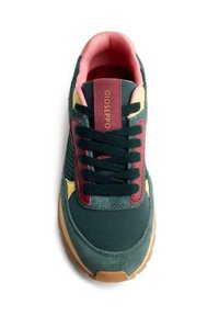 Zapatilla verde, marrón y amarilla con cordones negros, forro interior rosa y suela beige, vista desde arriba.