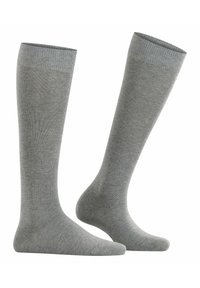 Esprit BASIC PURE - Kniestrümpfe - light greymel