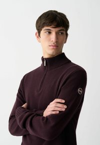 Colmar Originals BRANDED HALF-ZIP - Pulóver - berry