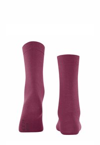 FALKE SOFTMERINO LINE - Socken - red plum
