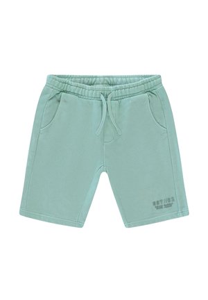 RYDAR ANTRA  - Trainingsbroek - mint