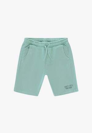 Cars Jeans RYDAR ANTRA - Trainingsbroek - mint