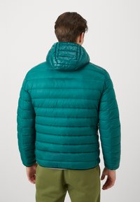 Champion ICONS LIGHT HOODED JACKET - Chaqueta de invierno - green/black