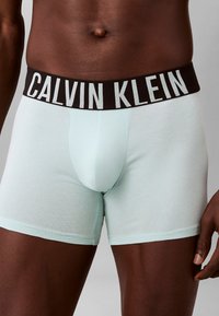 Boxershorts in Minzgrün mit figurbetontem Design, ausgestattet mit einem schwarzen elastischen Bund, auf dem "CALVIN KLEIN" in weißer Schrift steht.