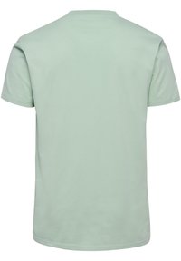 Ljusgrön kortärmad t-shirt med rundad halsringning, tillverkad av mjuk bomull. Baksidan är slät utan ytterligare mönster eller detaljer.