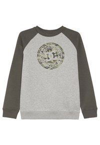 DC Shoes Sudadera - grey