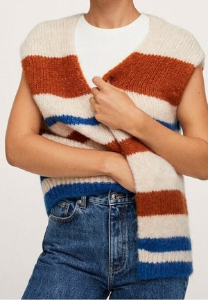 Personne portant un gilet sans manches en tricot avec de larges rayures horizontales rouille, crème et bleues sur une chemise blanche et un jean bleu.