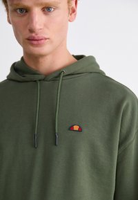 Sudadera de algodón verde con un bolsillo frontal, cordones ajustables y un pequeño logo bordado multicolor en el lado izquierdo del pecho.