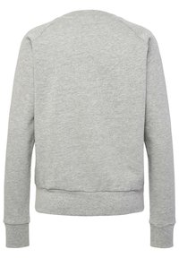 Gray sweatshirt with a ribbed crew neck, raglan sleeves, and ribbed cuffs. Smooth texture and a casual, relaxed fit.