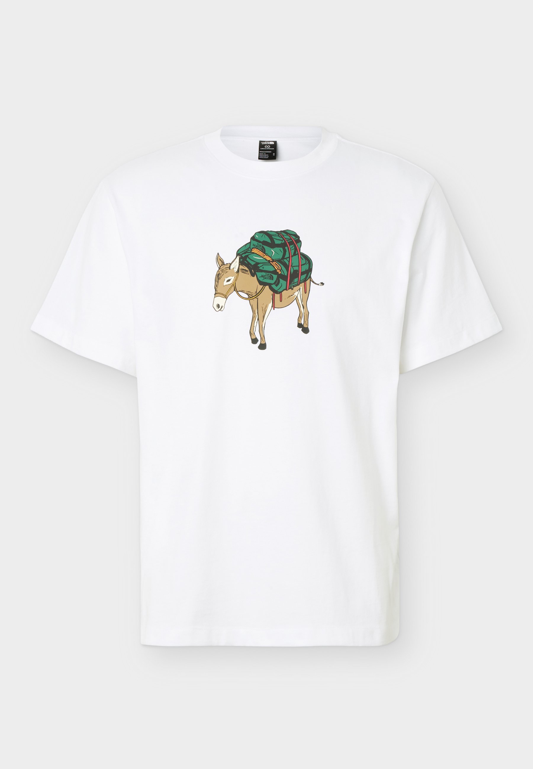 The North Face DONKEY TAXI RELAXED SHORT SLEEVE TEE GRAPHIC - Triko s potiskem - white