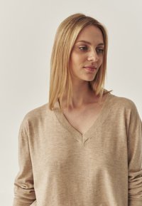 Beige gebreid sweater met een V-hals, lange mouwen en een zachte textuur, met een relaxte pasvorm en minimale details.