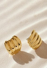Next Náušnice - gold tone