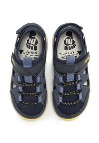 Scarpe da atletica blu e grigie con suole in gomma, lacci elastici e strap in Velcro. Presentano aperture per la traspirabilità e solette testurizzate.