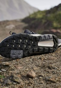 Buty do biegania w terenie z czarno-szarymi, wytrzymałymi podeszwami spoczywające na skalistym, zewnętrznym terenie, na tle górskiego krajobrazu.