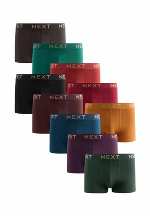 HIPSTERS TEN PACK - Apakšbikses - rich colour