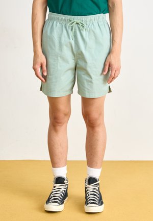 Dickies PELICAN RAPIDS - Shorts - iceberg green
